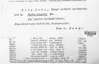 Poria blyttii image